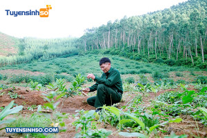 Ngành Lâm học